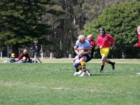 AUS NSW Sydney 2010SEPT29 GO v CentralWestOldBulls 065 : 2010, 2010 Sydney Golden Oldies, Australia, Central West Old Bulls, Date, Golden Oldies Rugby Union, Month, NSW, Places, Rugby Union, September, Sports, Sydney, Teams, Year
